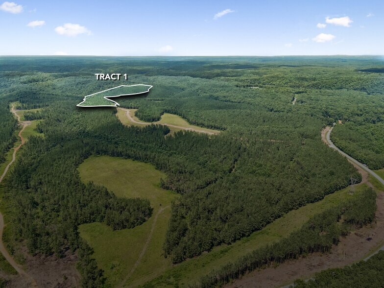 More Photos Of 1420 Big Swan Creek Rd, Summertown Land For Sale