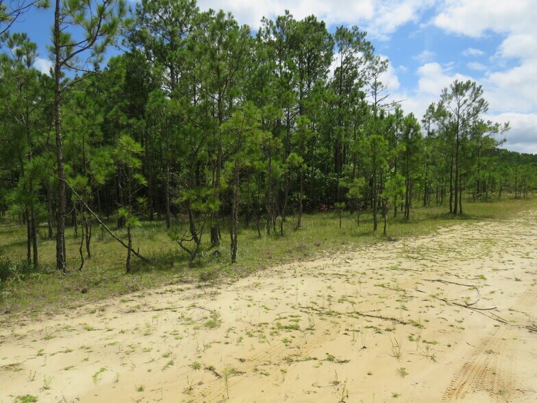 More Photos Of EVA. RD,, Little River Land For Sale