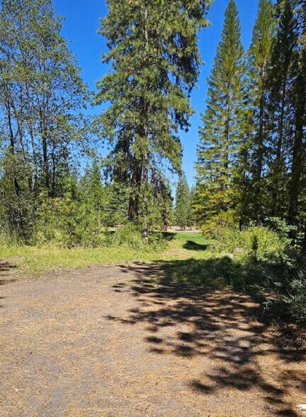 Primary Photo Of 10 Parkside Court, Mccloud Land For Sale