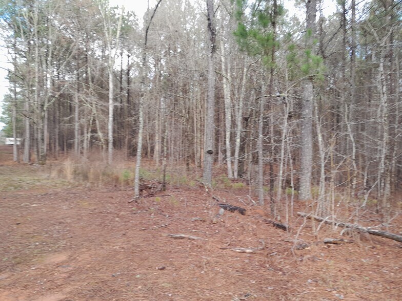 More Photos Of Lester Mill @ Frog RD, Locust Grove Land For Sale