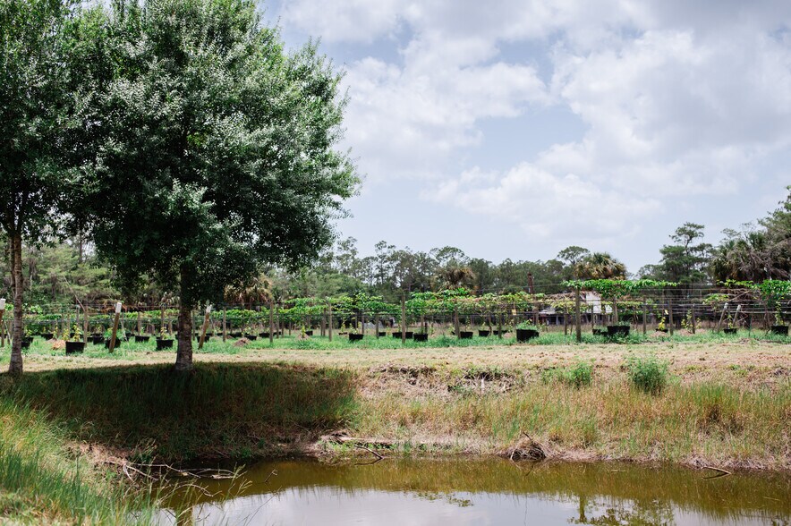 More Photos Of 20948 Corkscrew Rd, Estero Winery Vineyard For Sale