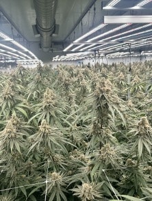 More Photos Of 10040 N Dort Hwy, Clio Distribution For Sale