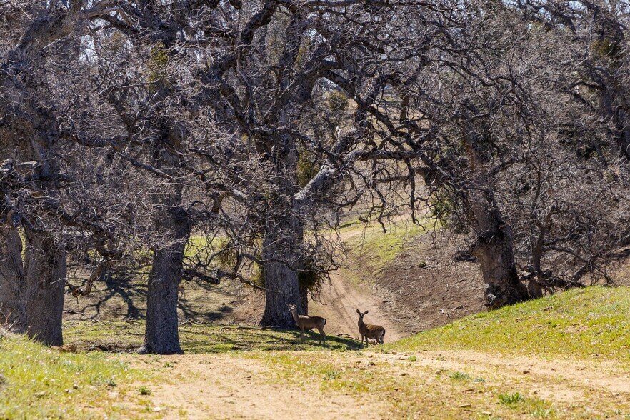More Photos Of 38633 E Carmel Valley Rd, Carmel Valley Land For Sale