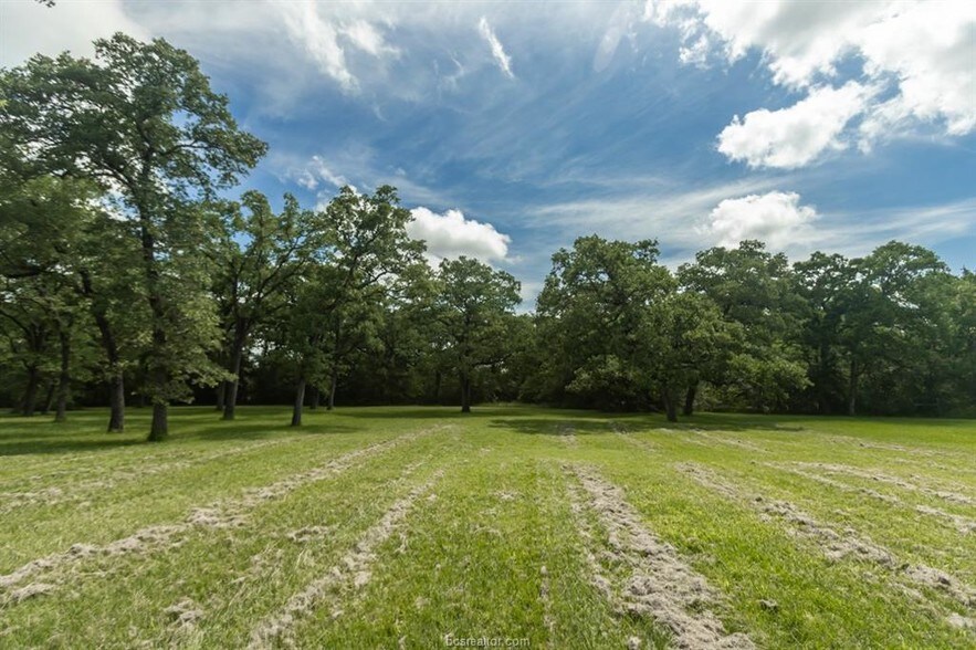 More Photos Of 993 Peach Creek Cut Off, College Station Office Residential For Sale