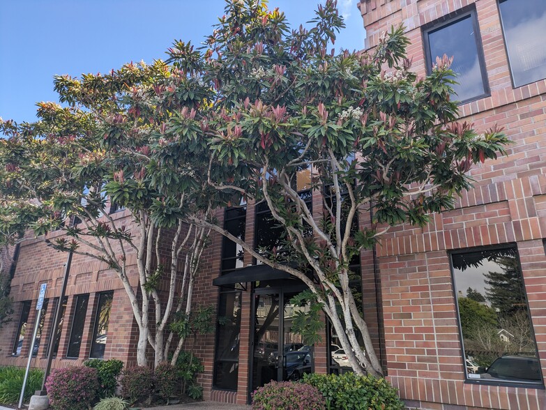 More Photos Of 133 Mission St, Santa Cruz Medical For Lease
