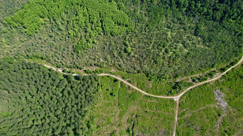 More Photos Of , Reevesville Land For Sale