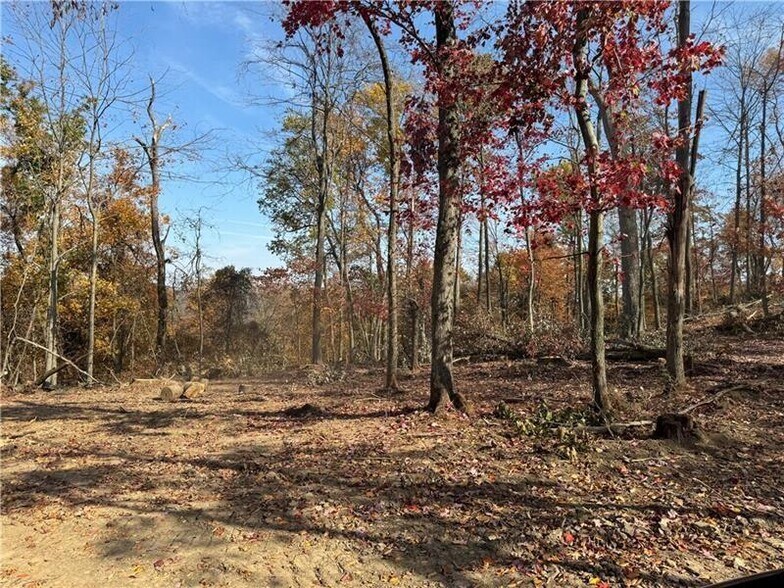 More Photos Of 0 Fallen Timber rd, Avella Land For Sale
