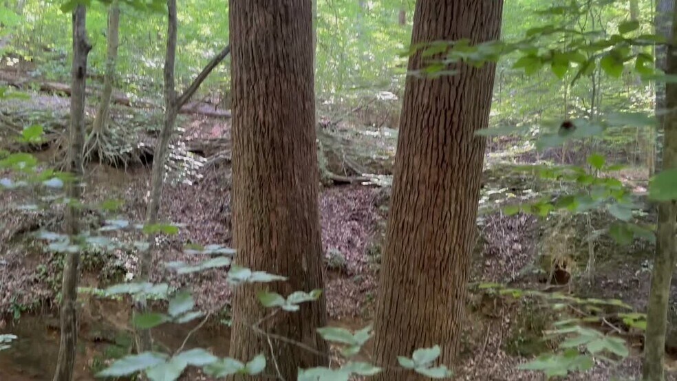 More Photos Of 400 Eden Church rd, Madison Land For Sale