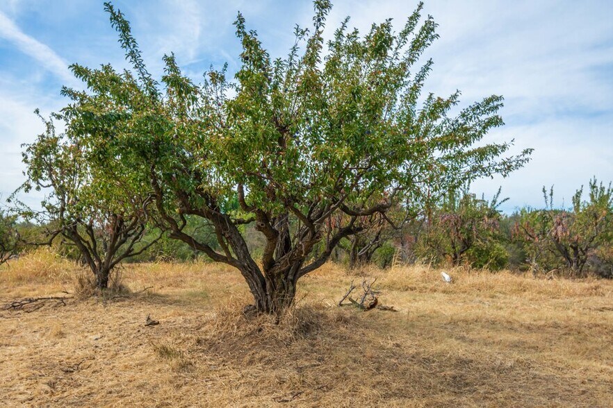 More Photos Of 4850 Hansen Rd, Loomis Land For Sale