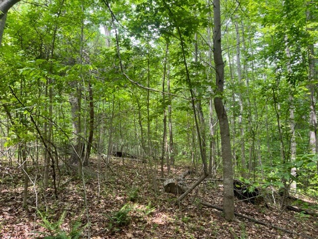 More Photos Of 7585 Mason Springs Rd, La Plata Land For Sale