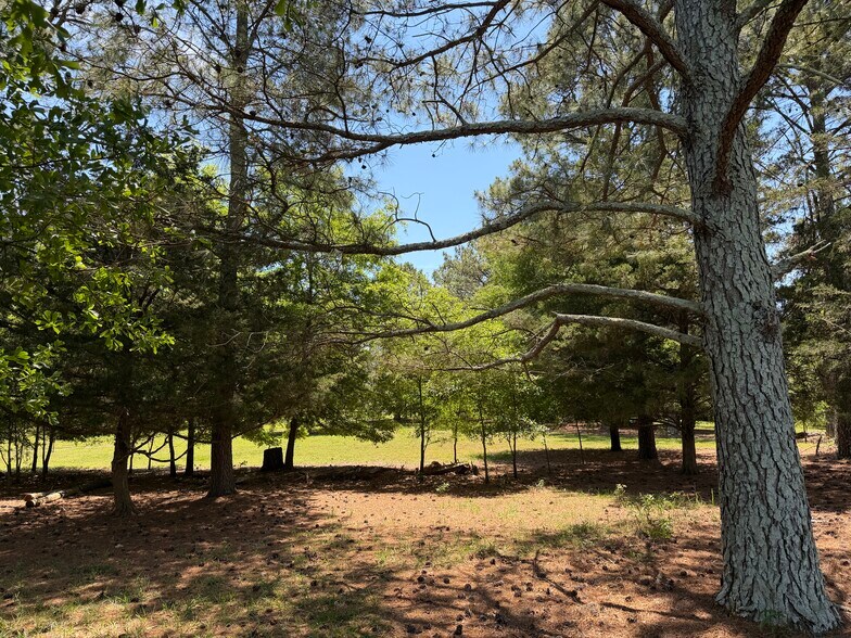 More Photos Of 1593 Old Alabama rd, Taylorsville Land For Sale