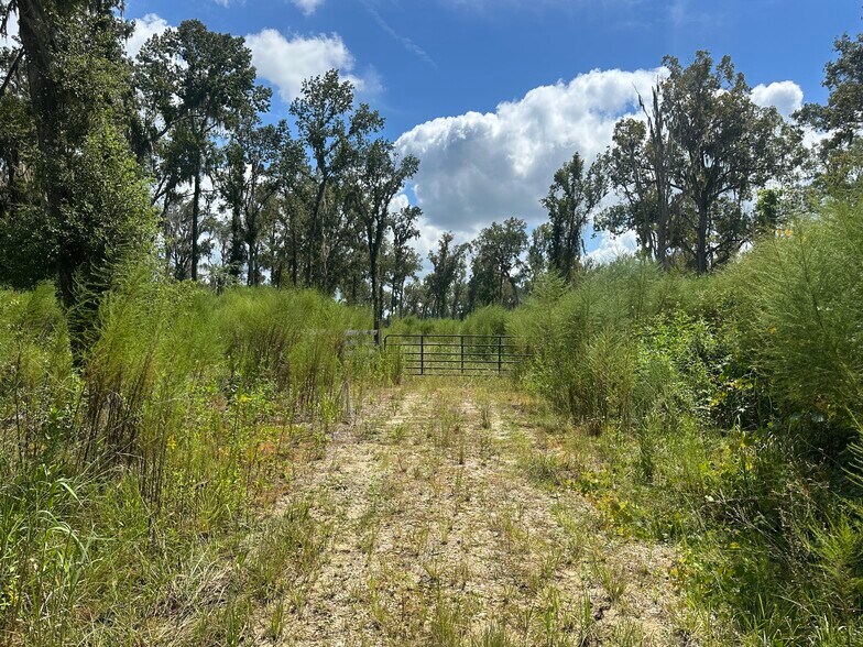 More Photos Of 0 US-27 @ NW 115th St, Ocala Land For Sale
