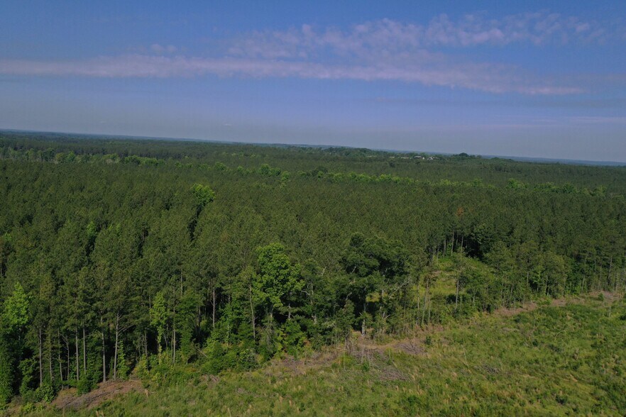 More Photos Of 00 Everett Chappell Rd, Mount Gilead Land For Sale