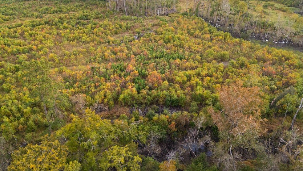 More Photos Of 3817 Central St, Waycross Specialty For Sale