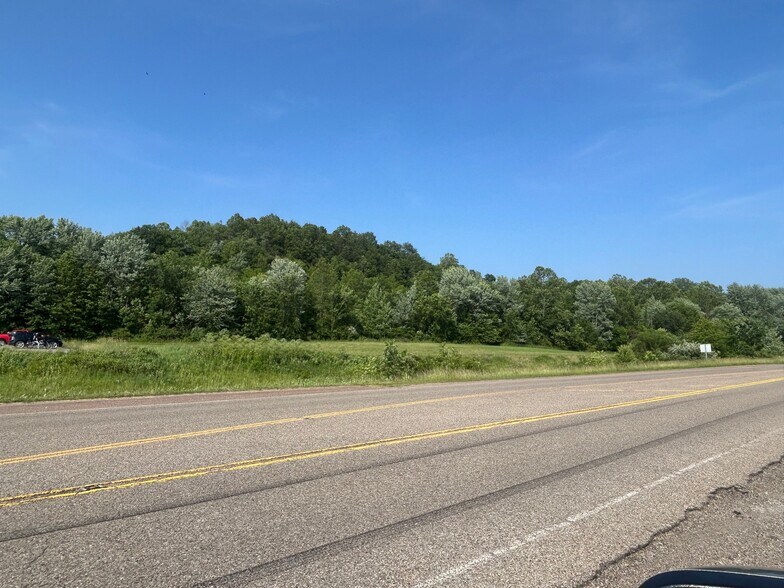 More Photos Of 0 SR-60 at Raiders Rd, Dresden Land For Sale