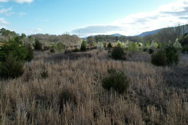 More Photos Of 7326 U.S. 411, Benton Land For Sale