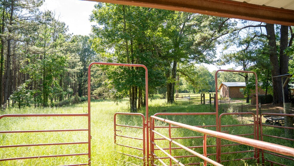 More Photos Of 17631 Farm Road 1159, Clarksville Land For Sale