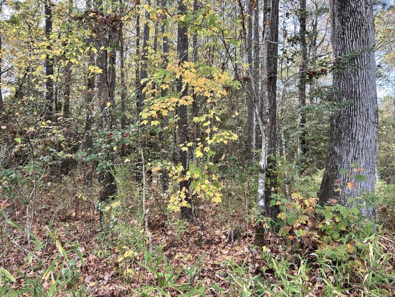 More Photos Of 2224 Governors rd, Windsor Land For Sale