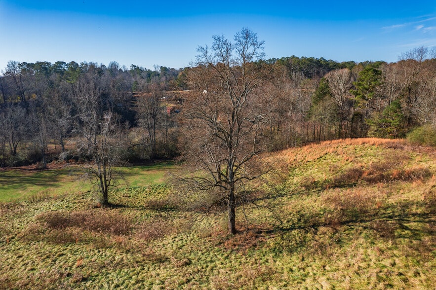 More Photos Of , Jasper Unknown For Sale