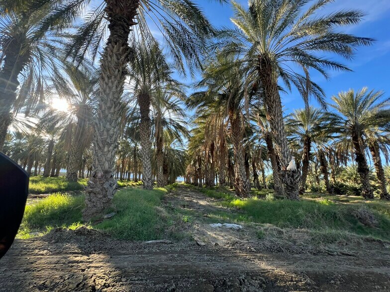 More Photos Of ,  Land For Sale