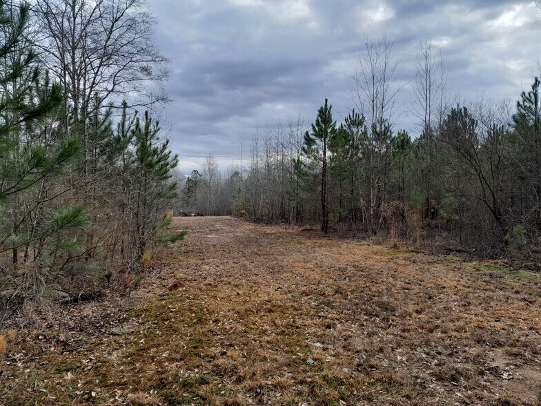 More Photos Of Lester Mill @ Frog RD, Locust Grove Land For Sale