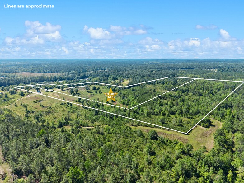 More Photos Of 39207 State Highway 59, Bay Minette Land For Sale