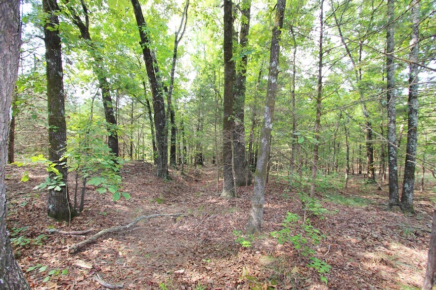 More Photos Of 226 Blythe rd, Greenbrier Land For Sale