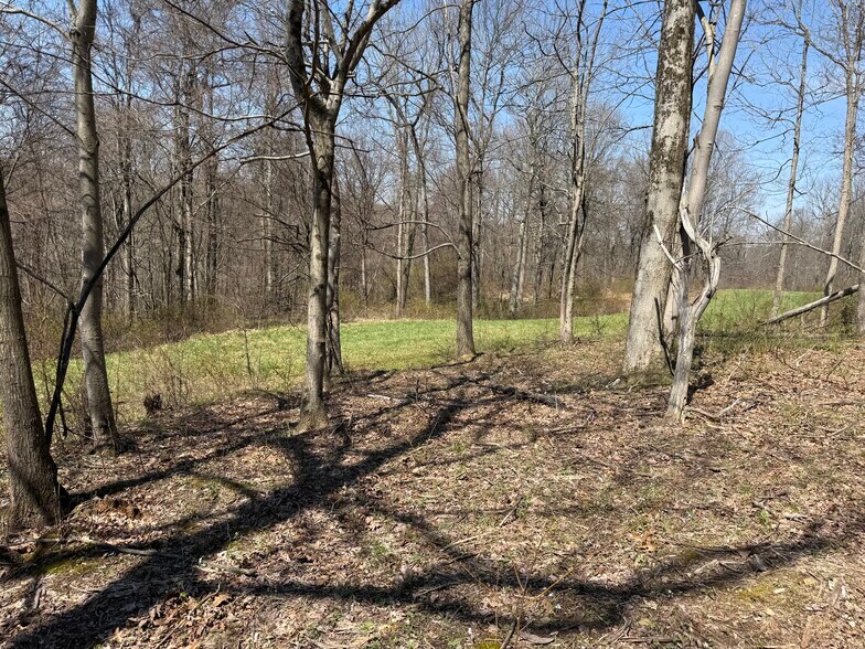 More Photos Of 0 Kragel Rd, Wintersville Land For Sale