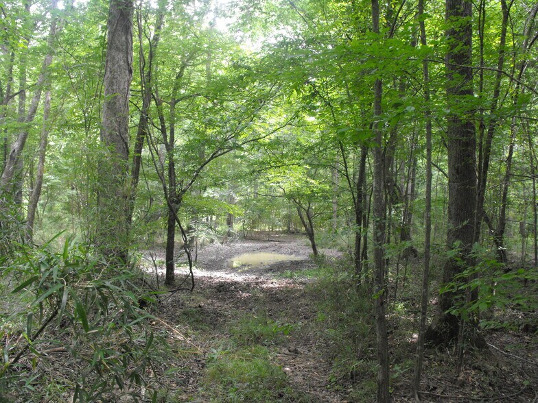 More Photos Of NOBLIN BRIDGE RD, Pelahatchie Land For Sale