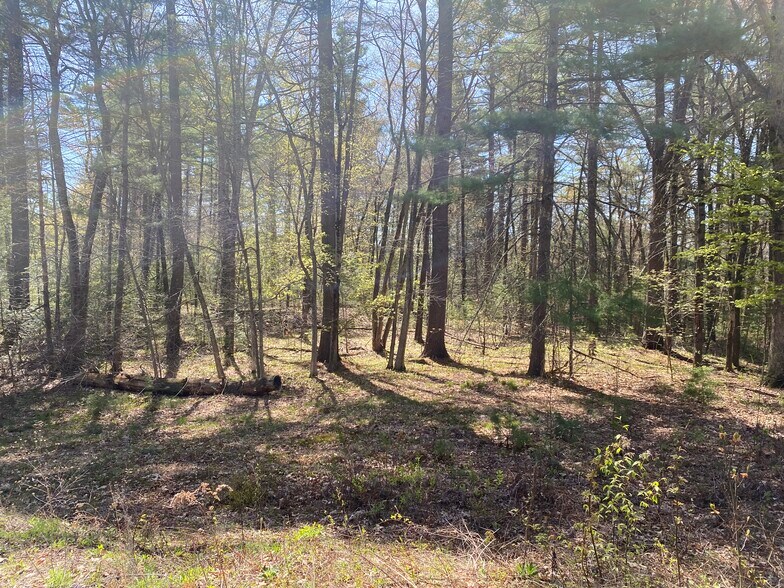 More Photos Of 100 Pequot Rd, Southampton Land For Sale
