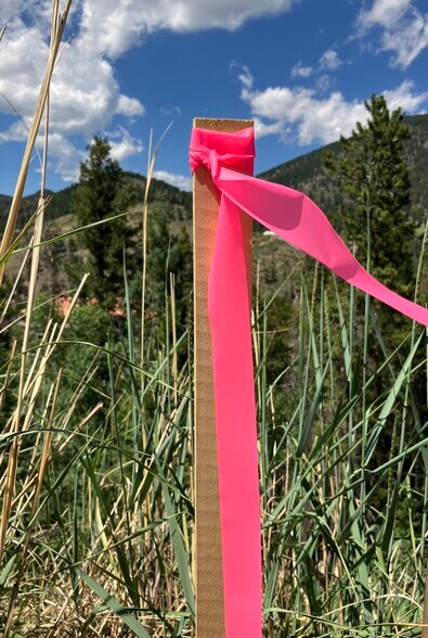 More Photos Of 1 Miners Rd, Black Hawk Land For Sale