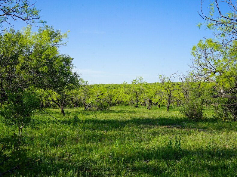 More Photos Of 723 FM 2926, Baird Land For Sale