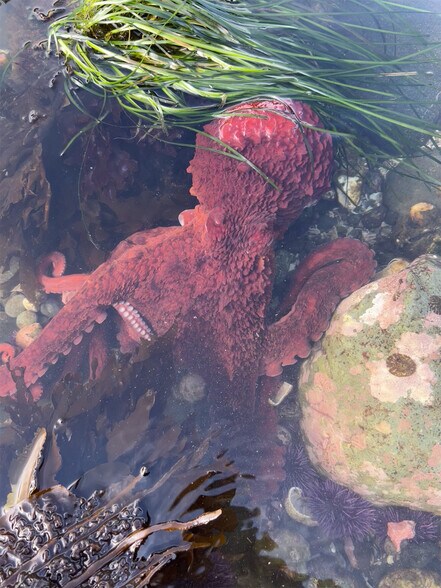 More Photos Of 16672 Frontier st, Clallam Bay Specialty For Sale