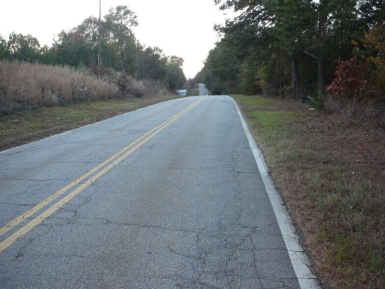 Primary Photo Of 10.5 Acs Royal American Rd, Anderson Land For Sale