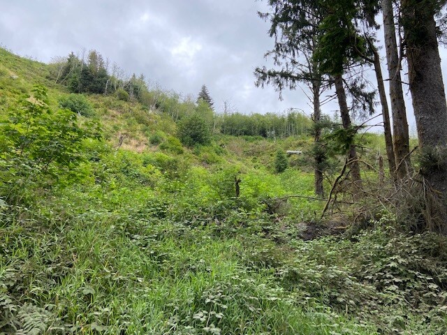 More Photos Of TL 203 Beaver Creek, Seal Rock Land For Sale