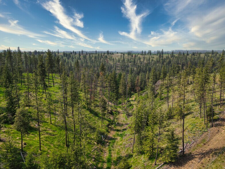 More Photos Of 45XXX Devore Rd, Davenport Land For Sale