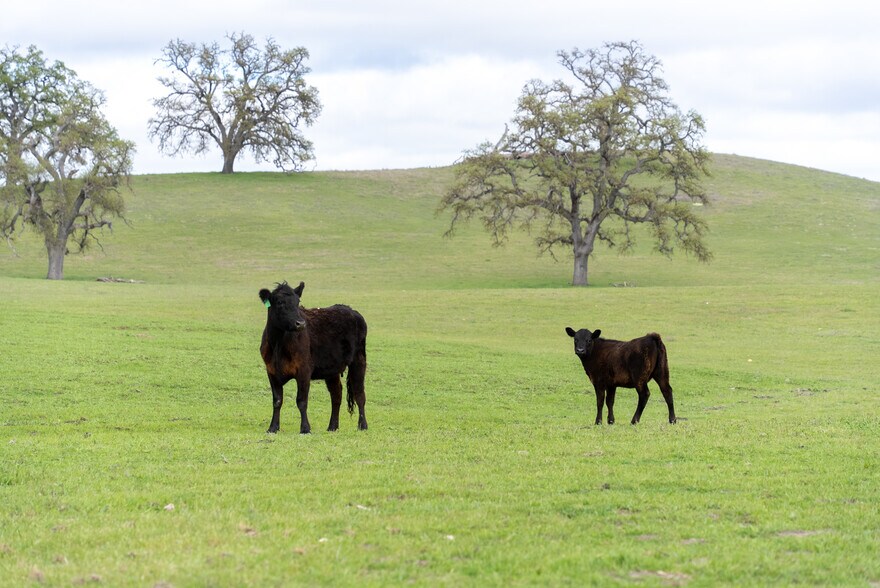 More Photos Of 76525 Interlake Rd, Bradley Land For Sale