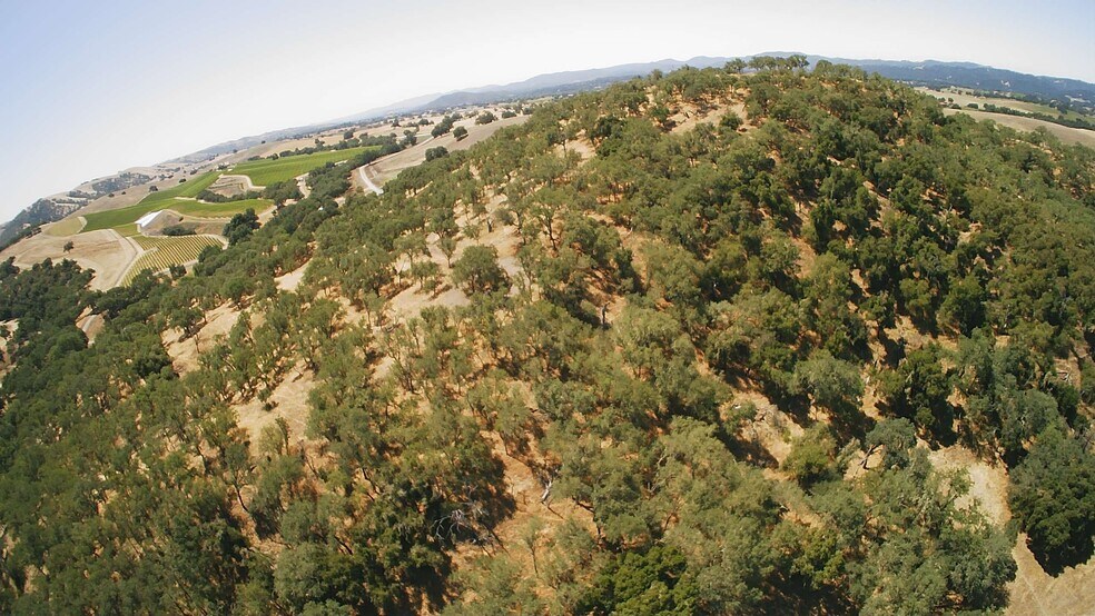 More Photos Of 993 Moss Ln, Templeton Land For Sale