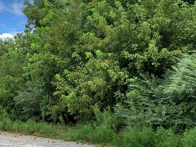 More Photos Of 7322 Tribble Gap Rd, Alto Land For Sale