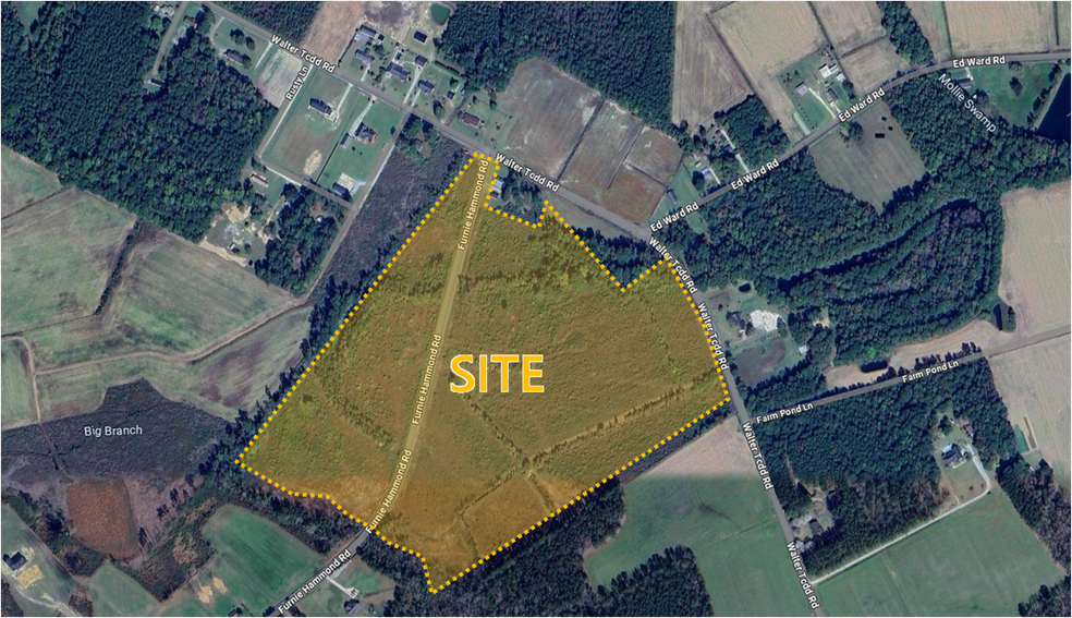 Primary Photo Of Walter Todd Road, Clarendon Land For Sale