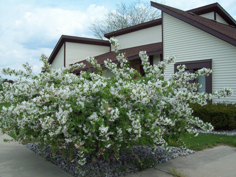 Primary Photo Of 1150 N Ottokee St, Wauseon Office For Lease