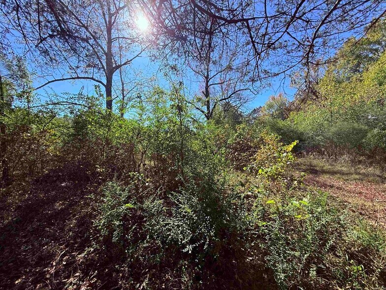 More Photos Of 101 Indian Trl, Bald Knob Land For Sale