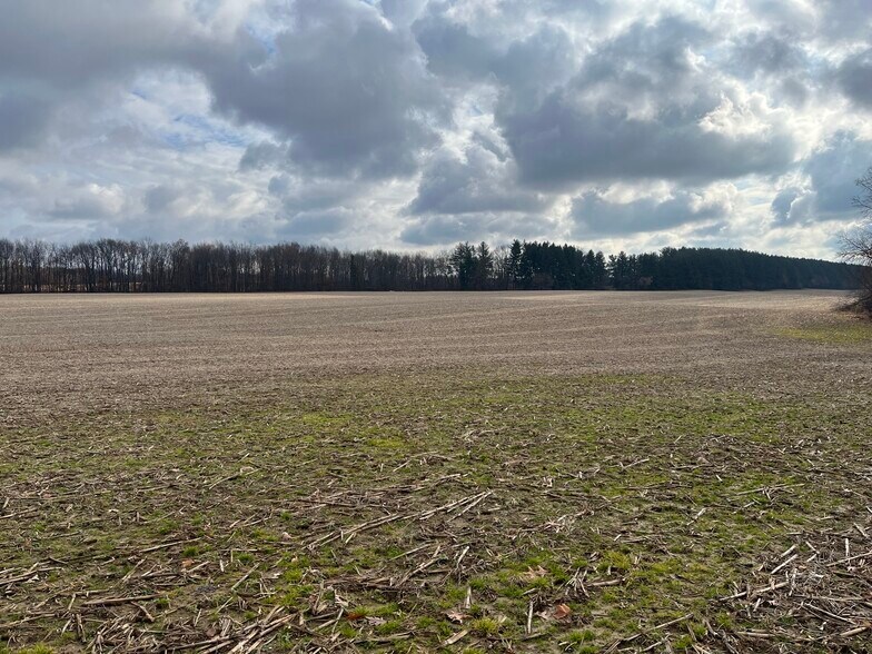 More Photos Of 0 V/L Green St., Springport Land For Sale