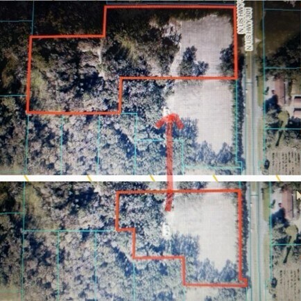 More Photos Of 0 NE 175th St Rd, Citra Land For Lease