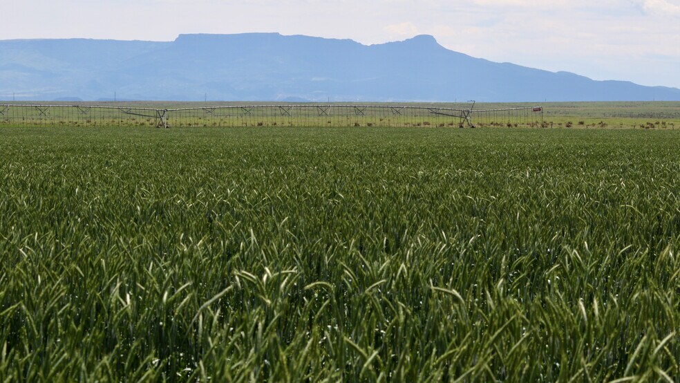 More Photos Of 48999 County Road 48, Model Land For Sale