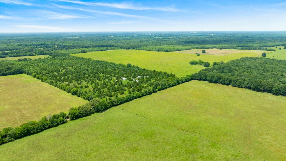 Primary Photo Of 449 County Road 1357, Clarksville Land For Sale