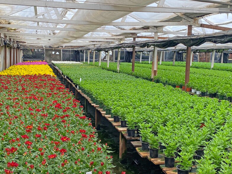 More Photos Of 1385 Anderson Ln, Santa Barbara Land For Lease