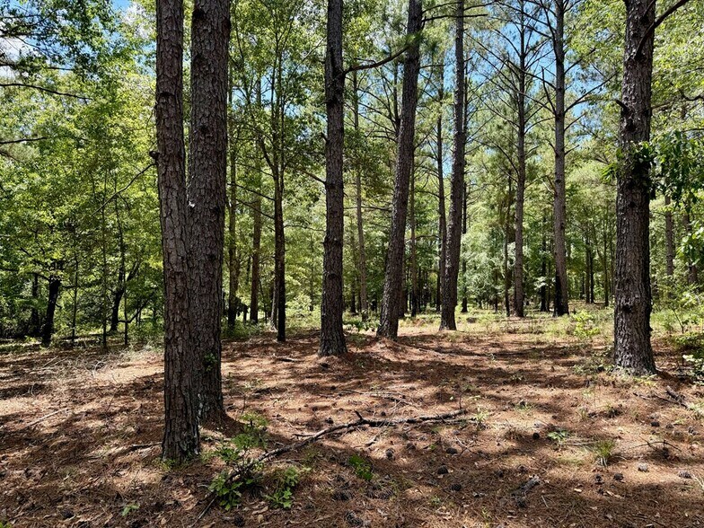 More Photos Of 241 Foskey Cemetery Rd, Adrian Land For Sale