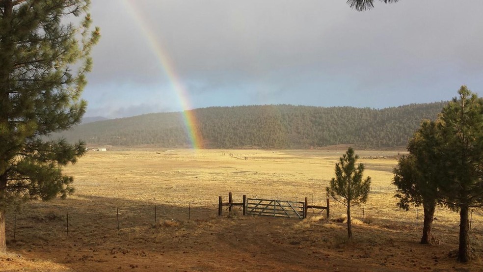 Primary Photo Of 2809 Cedar Ln, Big Bear City Land For Sale