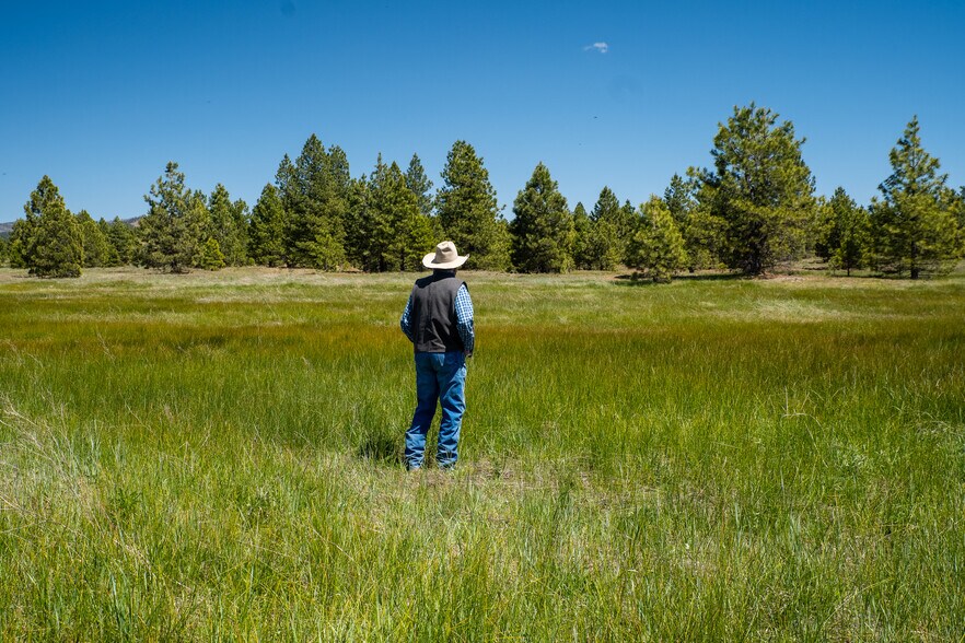 More Photos Of 000 000 Delwood Street, Westwood Land For Sale